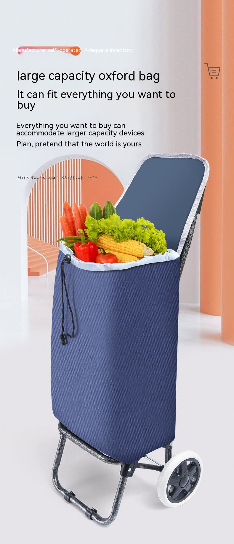 Foldable Shopping Trolley (“Your Arms Will Thank You” Cart)
