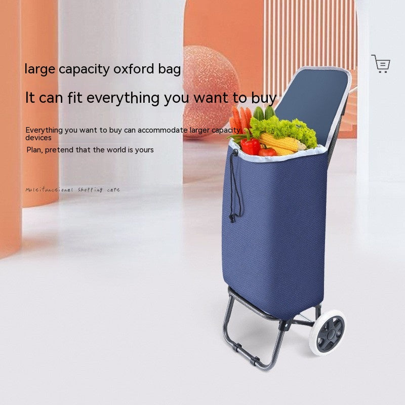 Foldable Shopping Trolley (“Your Arms Will Thank You” Cart)
