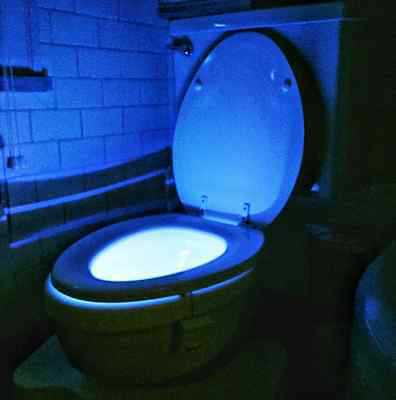 LED Motion Sensor Toilet Night Light