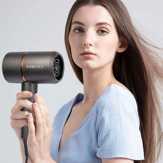 Brushless High-Speed Hair Dryer