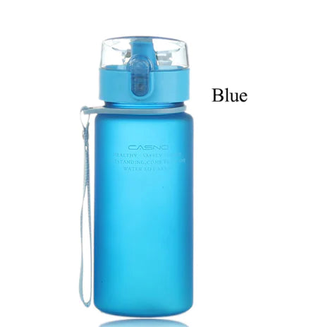 Frosted Sports Water Bottle / Travel Flask