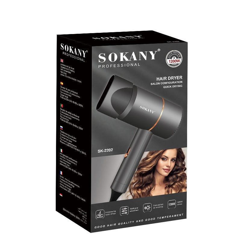 Brushless High-Speed Hair Dryer
